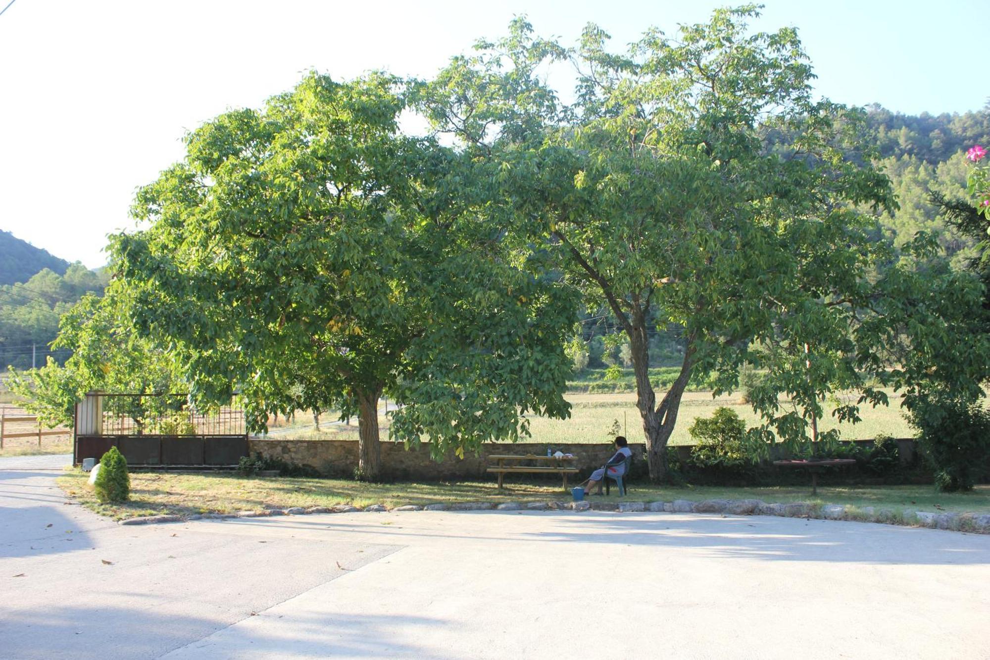 Can Carreras Albanya Exteriör bild